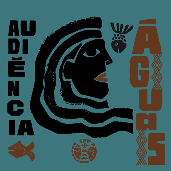 04_Audiencia_Aguas